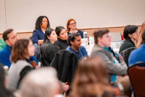 Participants at Plenary Presentations