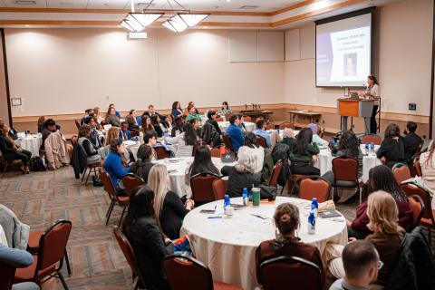 Participants at Plenary Presentations